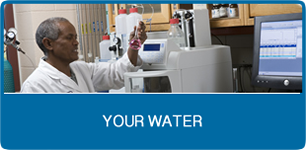 Your Water