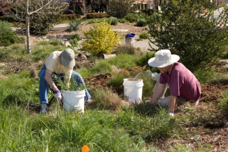 granada-garden.jpg granada-garden.jpg