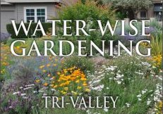 wwgdn-scrn