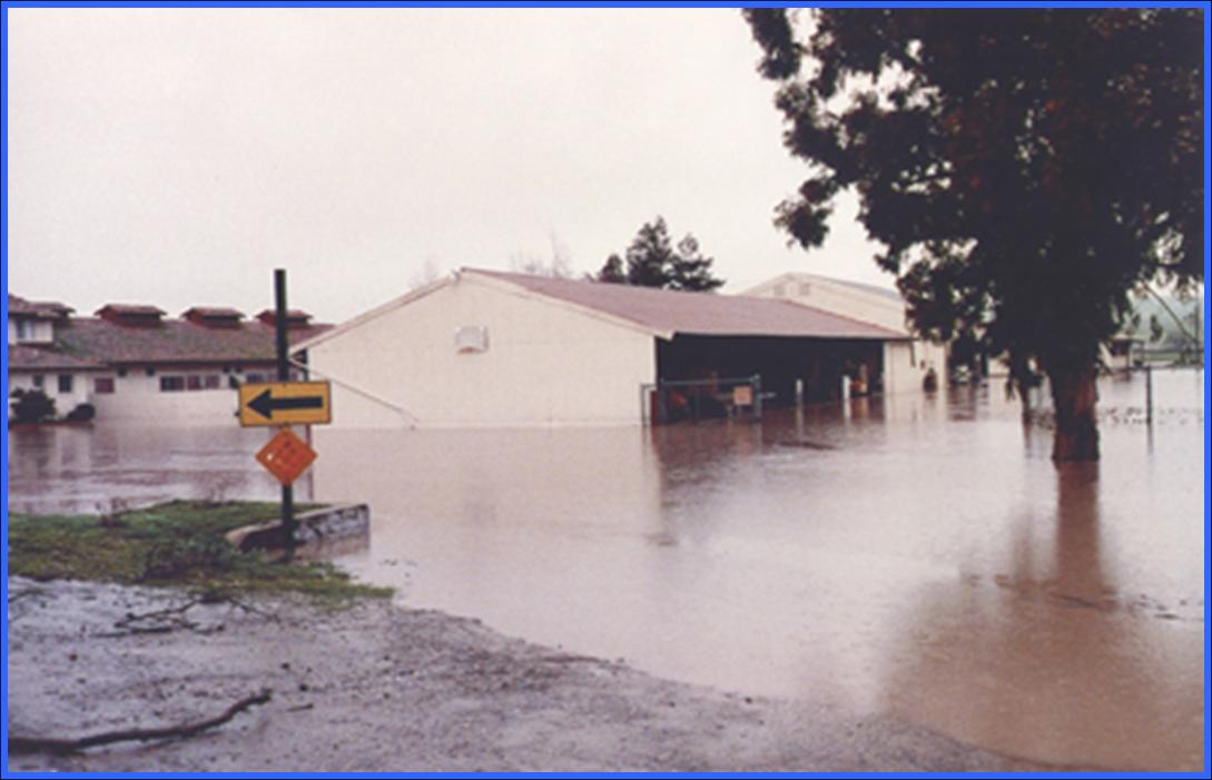 1998_el_charro_ranch